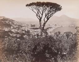 cca 1890 18 db olasz városkép Firenze, Padova, Velence, Nápoly, Róma. kartonon 34x25 cm
 




...