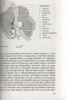 Granasztói György: 
A középkori magyar város. (Dedikált.)
(Budapest), 1980. Gondolat Könyvkiadó (A...