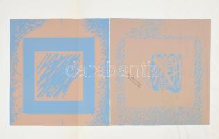 Somlai Vilma (1938-2007): Kertrészlet. Szitanyomat, papír, jelzés nélkül, a művész pecsétjével, háto...