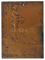 1911. "Aradi Fotóklub II. országos kiállítása 1911" egyoldalas bronz plakett, rögzítést szolgáló fúrt lyukkal (58x78mm) T:XF,VF patina