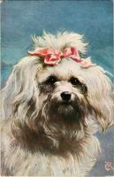 Dog, art postcard. T.S.N. Serie 1384. (EK)