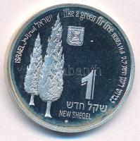 Izrael 1998. 1Sh Ag "Gólya és Jegenyefenyő" T:UNC (eredetileg PP) patina Israel 1998. 1 Sheqel Ag "Stork and Fir Tree" C:UNC (originally PP) patina Krause KM#320