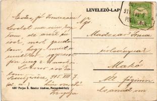 1915 Marosvásárhely, Targu Mures; Turbina az Erzsébet ligetnél. Porjes S. Sándor kiadása / hydroelec...