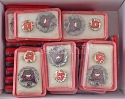 ~1970-1980. "Szocialista Brigád" műgyantás fém kitüntető jelvény, műanyag tokban, miniatűrrel (29x) T:AU,XF