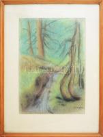 Sükösd Éva (1928?) : Erdélyi táj, pasztell, papír, jelzett. Üvegezett fakeretben. 39,5x28 cm