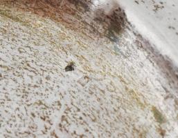 Ezüst hamutál 11 cm Jelzett gravírozással 47 g