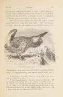 Charles Darwin: Az ember származása és az ivari kiválás. II. köt. Ford.: Török Aurél és Entz Géza. B...