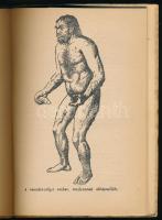 Dr. Han Weinert: Az ember származása. Bp., Novák Rudolf és Társa. Kiadói papírkötés, kopottas állapo...