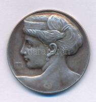 Svájc 1914. "KANTONAL - SCHÜTZENGEST - BEIDER BASEL - SISSACH - 1914" kétoldalas, jelzetle...