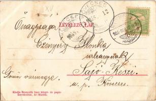 1905 Kistapolcsány, Topolcianky; Részlet a főhercegi parkból, régi malomrom. Brunczlik Imre kiadása ...