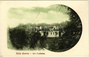 Baile Govora (Valcea), Vila Paulinescu / villa. Foto Regal M. Pandelescu (EK)