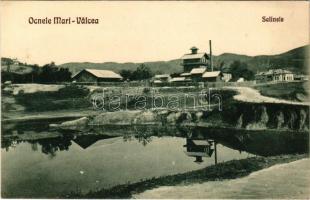 Ocnele Mari (Valcea), Salinele / salt mine