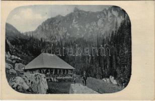 Bucsecs-hegység, Butschetsch, Muntii Bucegi; Siebenbürgische Karpathen / menedékház, turistaház. Kunstanstalt Jos. Drotleff Nr. 372. / tourist house, mountain rest house