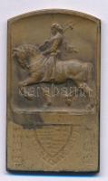 ~1920-1930. "Nemzeti Vívó Club" bronz emlékplakett (28x50mm) T:XF,VF