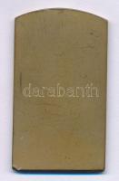 ~1920-1930. "Nemzeti Vívó Club" bronz emlékplakett (28x50mm) T:XF,VF