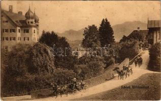 Frasdorf, Schloß Wildenwart / castle (EB)