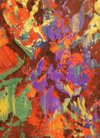 Balog Marianna, "Mana" (1967-): Flowery meadow. Olaj, vászon, jelezve jobbra lent, 70×50 c...