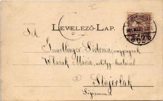 1901 Budapest I. Pest látképe a budai oldalról, a Királyi várból a Lánchíd felé. Fénynyomat Divald m...