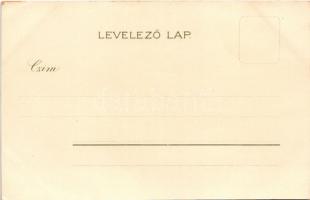 Szeged, Városház. Kosmos Kunstanstalt litho (EK)