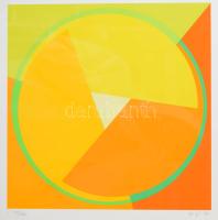 Fajó János (1937-2018): Forgó III., 1987. Szitanyomat, papír, jelzett. Számozott: 40/130. 31,5x31,5 cm. Üvegezett fakeretben. / János/Jan Fajó (1937-2018): Forgó III., 1987. Serigraphy on paper, signed, numbered: 40/130. 31,5x31,5 cm. Framed.