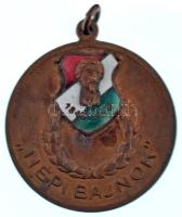 1948. "Népi Bajnok" bronz röplabda díjérem zománcozott "Petőfi 1848-1948" rátéttel (35mm) T:XF, patina