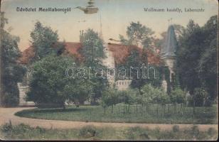 Mezőlaborc Laborcrév Wollmann castle (fl)