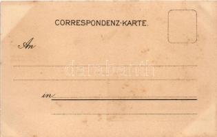 Wieselburg, Hauptplatz, Franz Josef Jugend-Asyl. Weinzierl. Art Nouveau, floral, litho (fl)