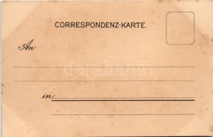 Wieselburg, Hauptplatz, Kaiserl. Schloss Wolfpassing. Art Nouveau, floral, litho (fl)