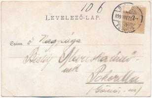 1899 (Vorläufer) Mariska. Macska lány cipőt fényesít - díszített / Cat girl cleaning a shoe - decora...