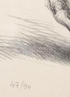 Szabó Ákos (1936-): Fekvő ló, 1984. Litográfia, papír, jelzett. Számozott: 47/90. Lapméret: 50x65 cm...