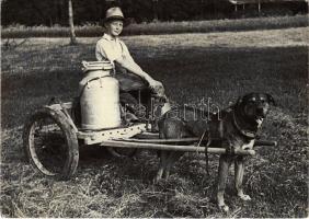 1998 Suisse notalgique / Svájci kutyás kocsi / Swiss folklore, dog cart (Rb)