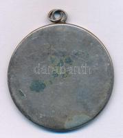 1976. "Rákóczi Napok - Sárospatak - 1676-1976" egyoldalas fém emlékérem füllel (40mm) T:XF