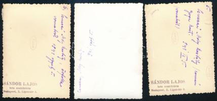 1941 A csucsai Ady-kastély Erdélyben, 3 db hátoldalon feliratozott fotó, 8,5×6 cm