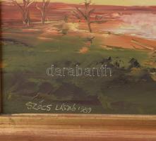 Aba Szőcs László (1944-2018): Mocsaras táj, 1989. Olaj, farost. Jelezve balra lent. Fakeretben, 40x6...