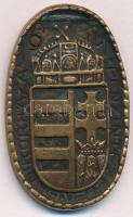 Zutt Richard (1887-1938) 1914. "Pénzintézetek Hadikórháza" bronz ovális emlékérem (48x29mm...