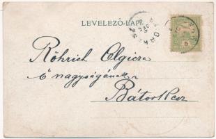 1902 Sárkányfalva, Sarkan; Koller kastély. Scolik Károly cs. és kir. udvari fényképész felvétele / c...