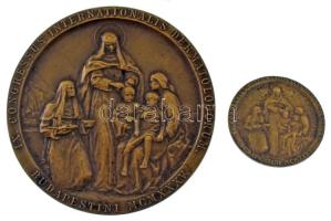 Vastagh Éva (1900-1942) 1935. "IX. Nemzetközi Dermatológiai Kongresszus Budapest" bronz plakett "LUDVIG" gyártói jelzéssel "IX. CONGRESSUS INTERNATIONALIS DERMATOLOGORUM - BUDAPESTINI MCMXXXV" (60mm) + IX. Nemzetközi Dermatológiai Kongresszus Budapest" az éremképpel megegyező jelvény (27mm) T:AU HV 1409.