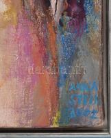 Stein Anna (Anna Stein, 1936-): Emlék, 2002. Olaj, vászon, jelezve jobbra lent. Fakeretben. 64x52 cm