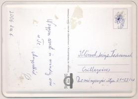 2006 Egyedi német fémlemez üdvözlőlap puttókkal / German custom made metal plate card with cupids, m...