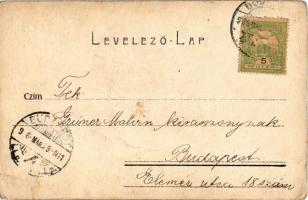 1906 Fáj Flóra. Kossak felvétele (EK)