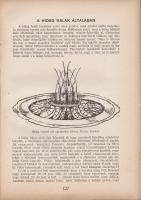 Csáky Sándor: 
A huszadik század szakácsművészete.
Ostrava-Budapest, 1936. "Petőfi" Irod...