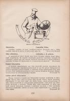 Csáky Sándor: 
A huszadik század szakácsművészete.
Ostrava-Budapest, 1936. "Petőfi" Irod...