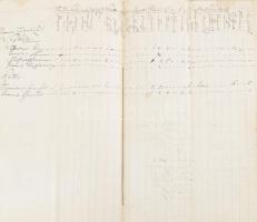 1762 Ugocsa megyei települések háziállat helyiségenként és gazdánkénti külön felsorolással, beírt ol...