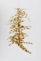 KOGART Kortárs Művészeti Gyűjtemény 2010. Szerk.: Fertőszögi Péter. Szücs György bevezetőjével. Bp.,...