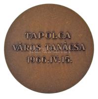Iván István (1905-1968) 1966. "Tapolca Város Tanácsa" kétoldalas bronz emlékérem (60mm) T:...