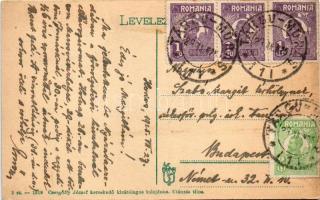 1925 Nyárádszereda, Miercurea Nirajului; Fő tér, heti vásár, piac. Csergőffy József üzlete és saját ...