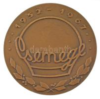 1967. "Csemege 1952-1967 / Emlékül a 15 éves munkáért" bronz emlékérem (60mm) T:XF