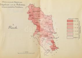 Militär-Statistische Feldelaborate. Ostgalizien und Bukowina. I., II., und III. Teil. Mit 14 Kartogr...