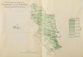 Militär-Statistische Feldelaborate. Ostgalizien und Bukowina. I., II., und III. Teil. Mit 14 Kartogr...