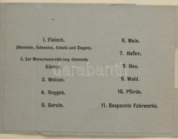 Militär-Statistische Feldelaborate. Ostgalizien und Bukowina. I., II., und III. Teil. Mit 14 Kartogr...